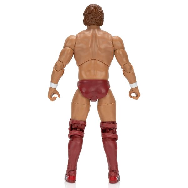 AEW0560-AEW-BryanDanielson-TheVaultDTC-OP-Back-lpr