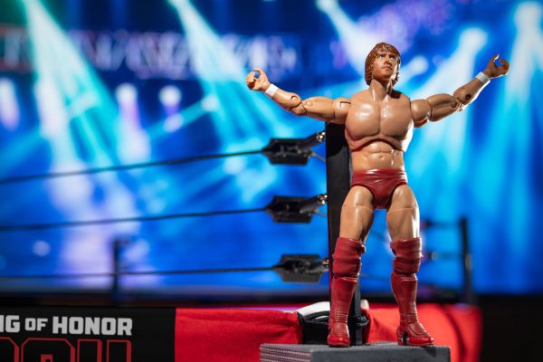 AEW0560-AEW-ROH-BryanDanielson-Vault-Artistic-06000555-lpr