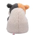 RBCR00904-Back-lpr
