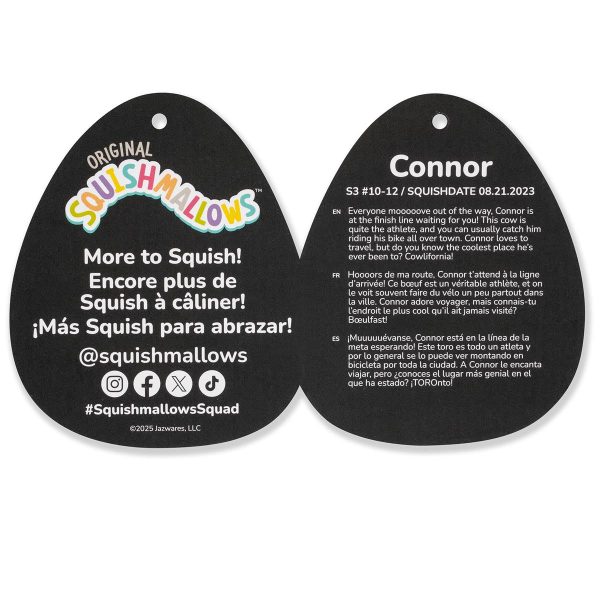 SQCR07529_3.5in_Connor_SparklePatches_TO_lpr