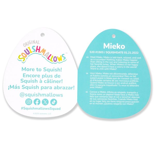 SQCR08373_20inMikePinaColadaInCoconutwithUmbrella_TO_lpr